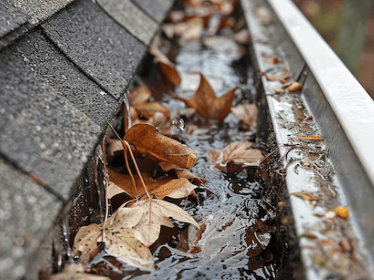 Professional Gutter Cleaning Services London & Surrey Professional gutter cleaning service in London and Surrey - Expert technicians removing leaves and debris from residential gutters